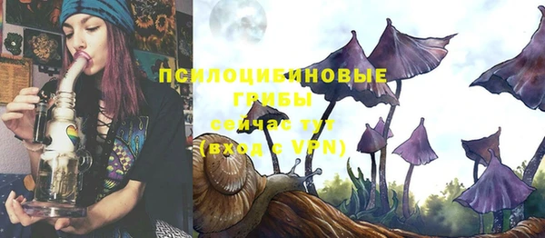 герыч Бугульма