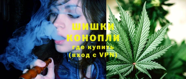 дживик Верхний Тагил