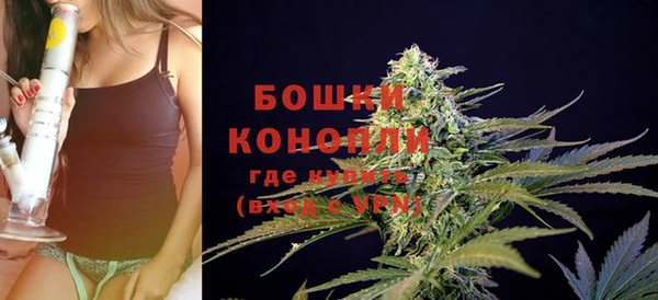 бошки Верея
