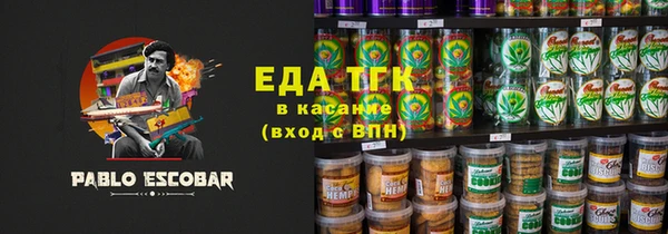 дживик Верхний Тагил