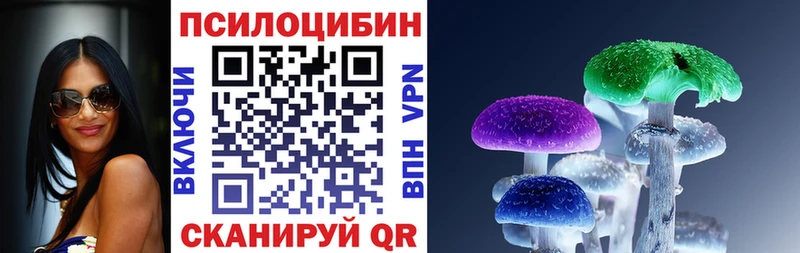 Галлюциногенные грибы Psilocybine cubensis  Грязовец 